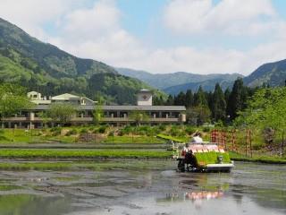 施設内の田んぼで田植えを行いました。