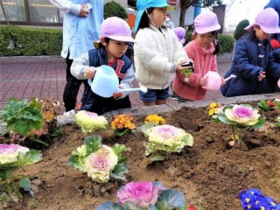 「みんなの花壇」にお花が増えました！