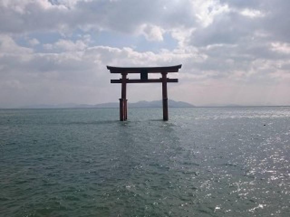 白鬚神社で初詣を行いました。 