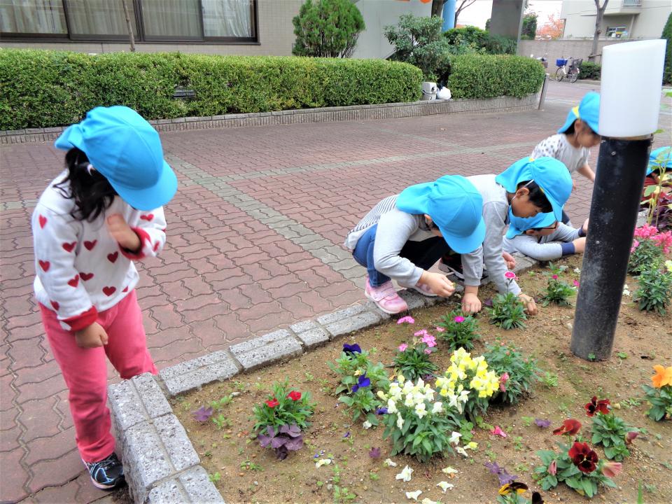 「みんなの花壇」たくさんの野菜の種も植えました