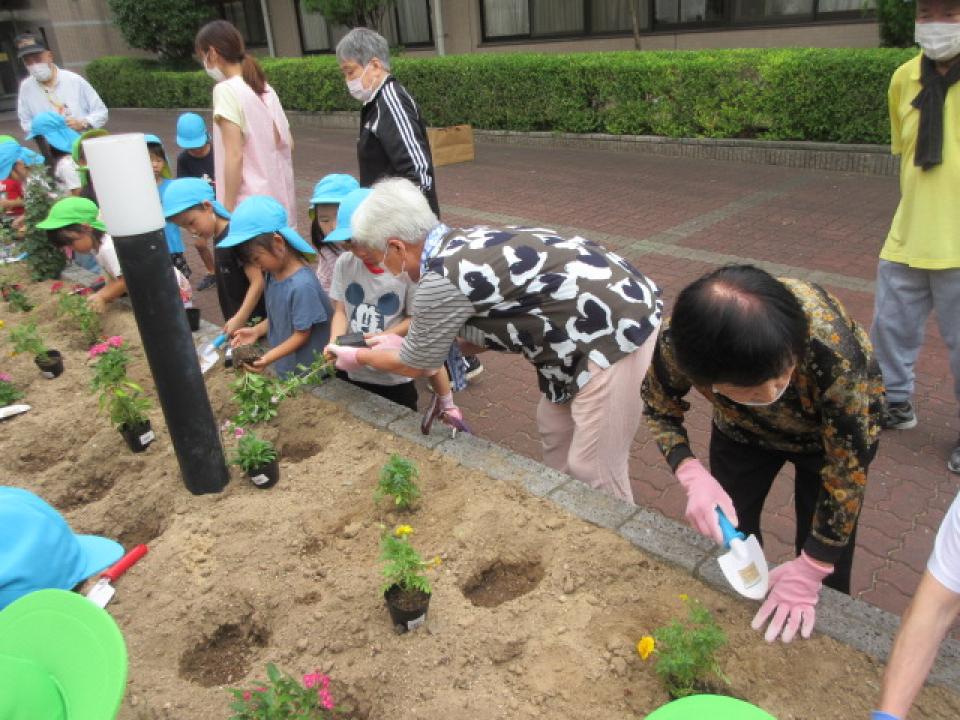 『みんなの花壇』季節のお花を植えました！