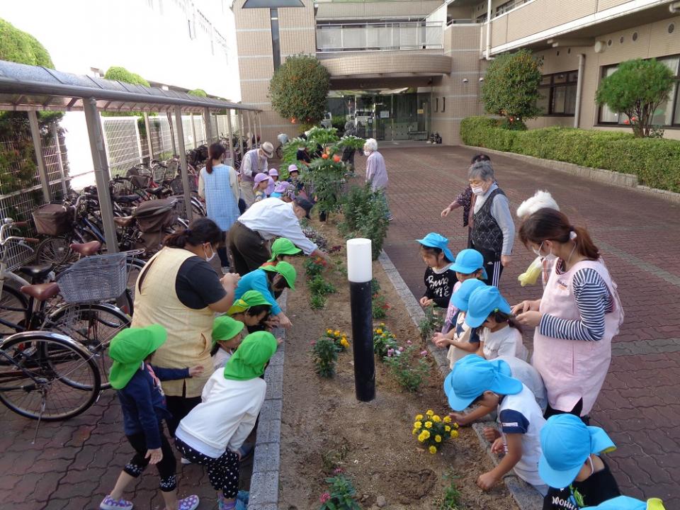 『みんなの花壇』野菜の種を植えました