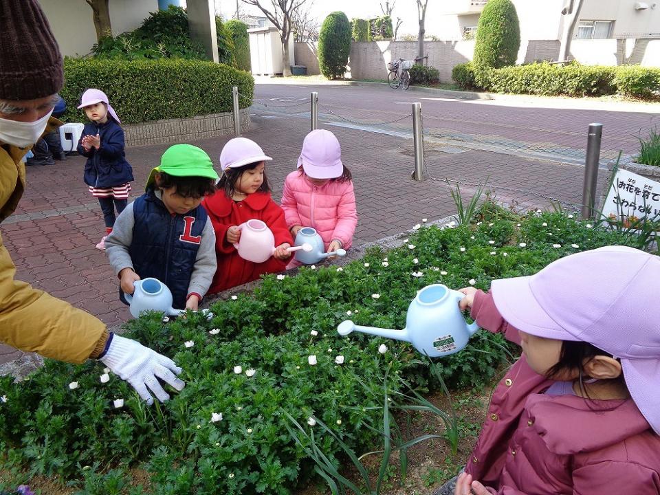 『みんなの花壇』の近況報告！！（リベルテ）