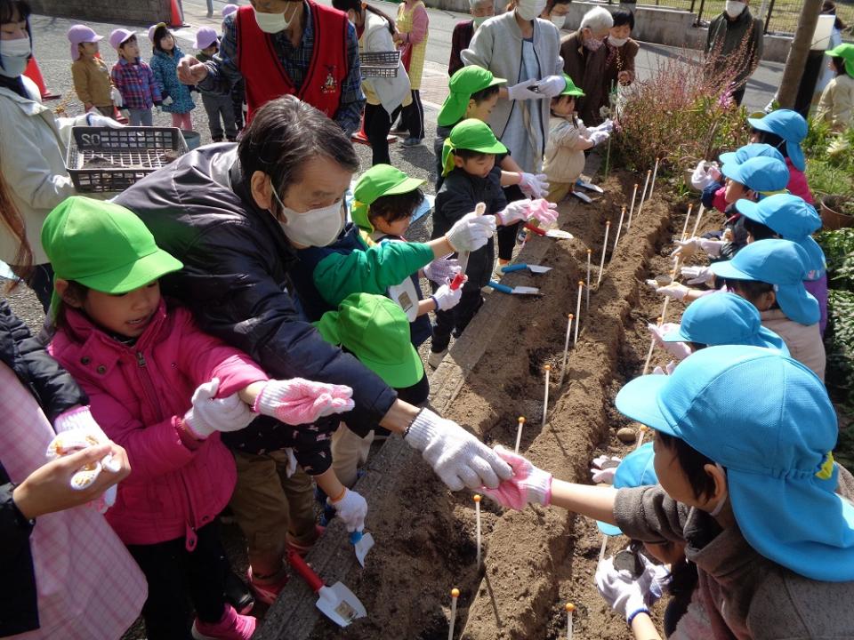 『みんなの花壇』じゃがいもを植えました！