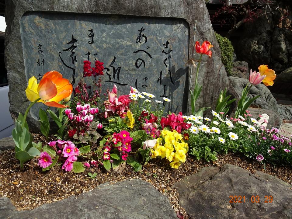 お花を植えました！！（白雲寮）