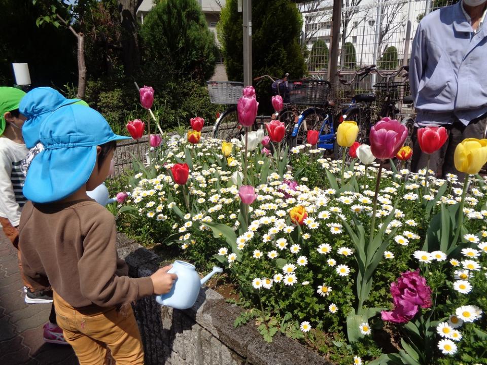 『みんなの花壇』今年度もやります！（リベルテ）