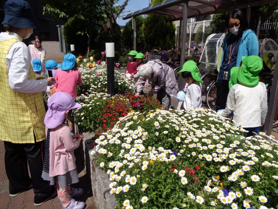 3歳児さん達が「みんなの花壇」にデビューしました！