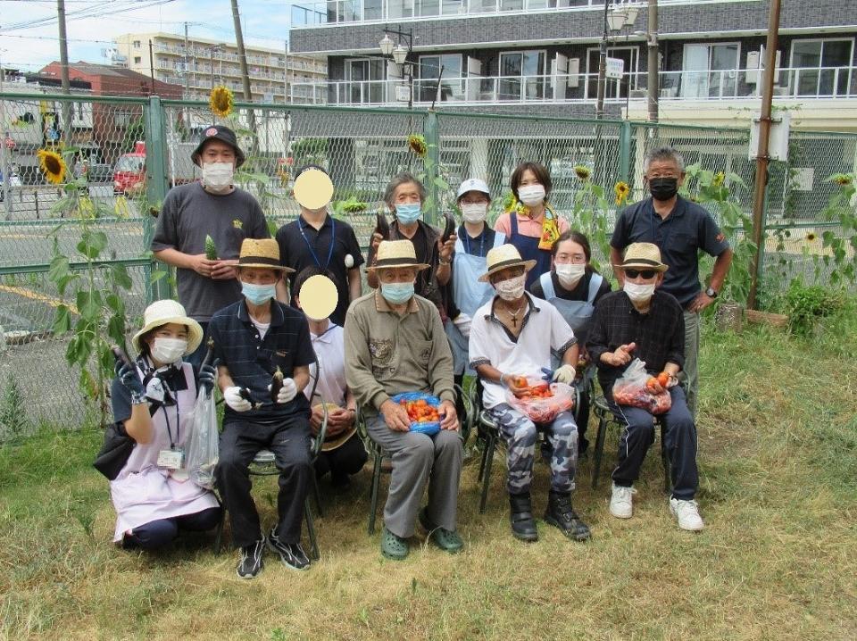 健康広場での収穫・・・。その２（白雲寮園芸クラブ）