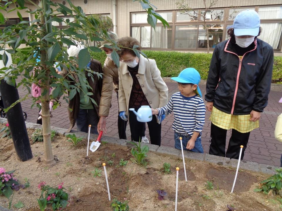 チューリップを植えました（メゾン リベルテ）