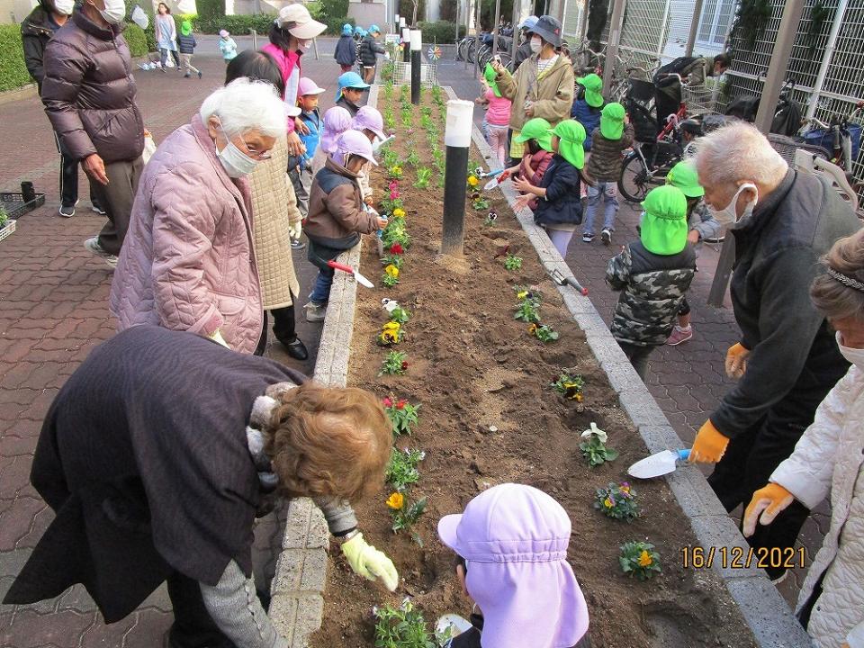 「みんなの花壇」冬のお花を植えました。（リベルテ）