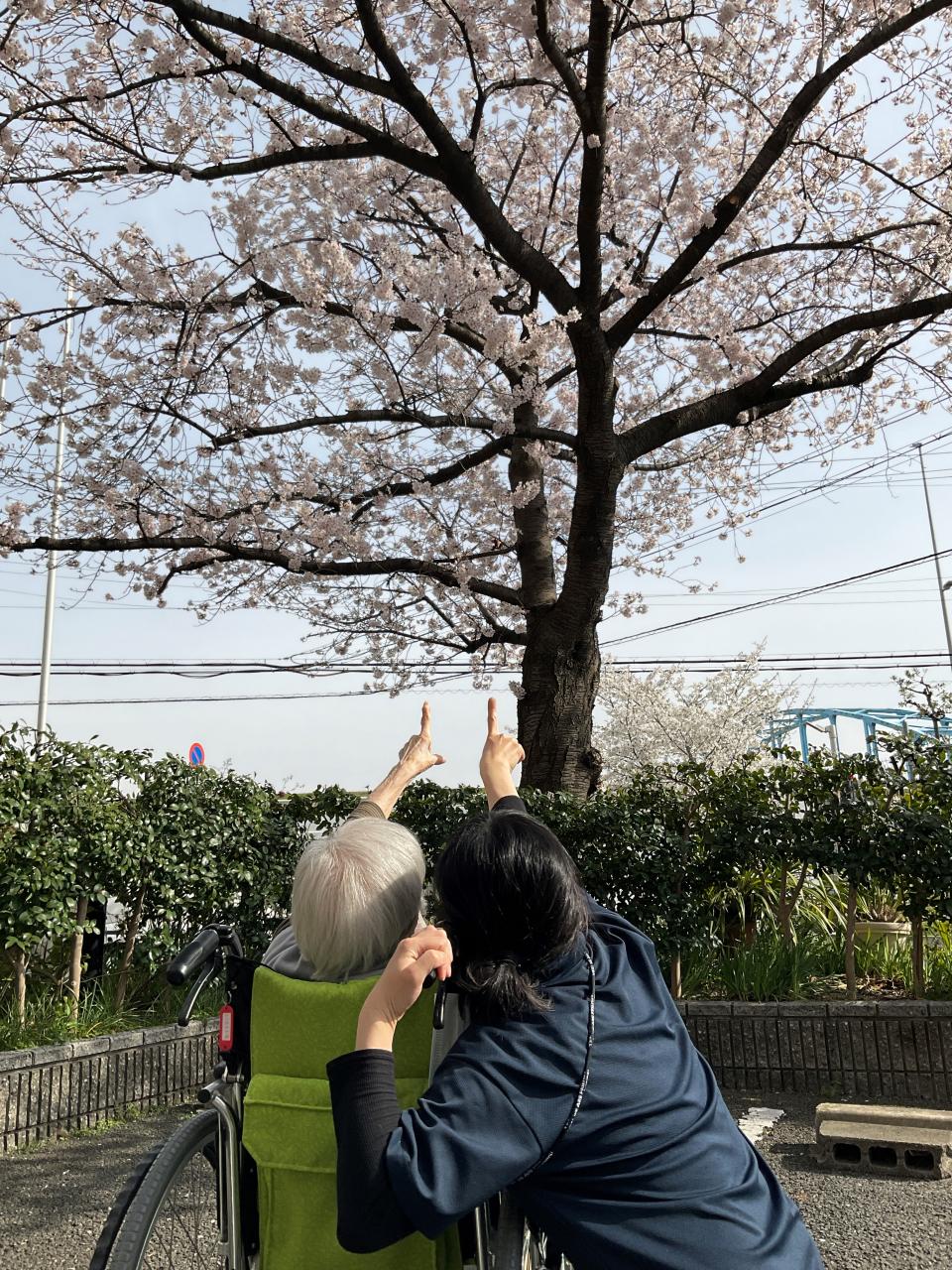 桜の木の下で…（ジュネス）