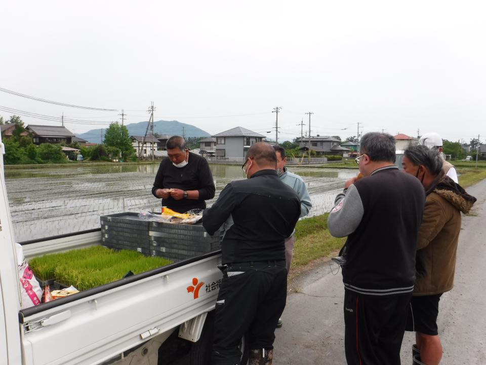 田植えを行いました（さわやか荘）