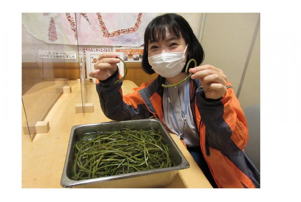 さつま芋のツルも食べられます！（リベルテ）