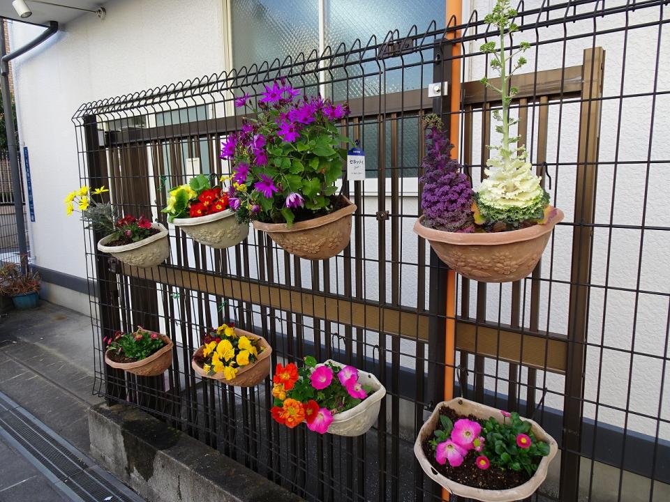 お花の植え替え（法人本部）