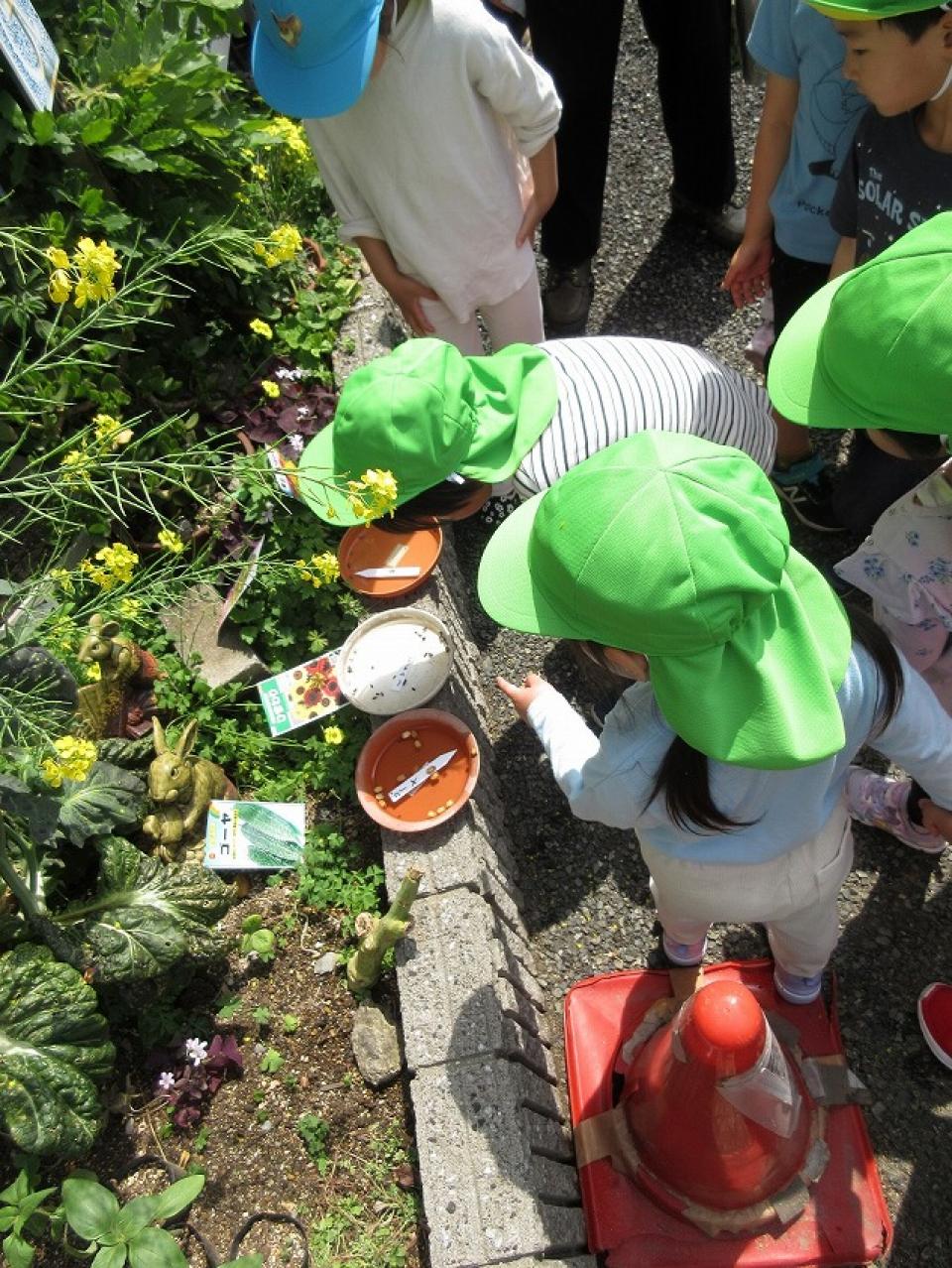 「みんなの花壇」がスタートしました（リベルテ）