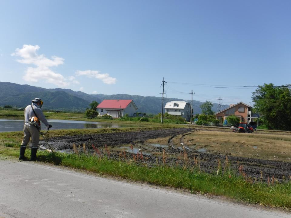 田植えをしました（さわやか荘）