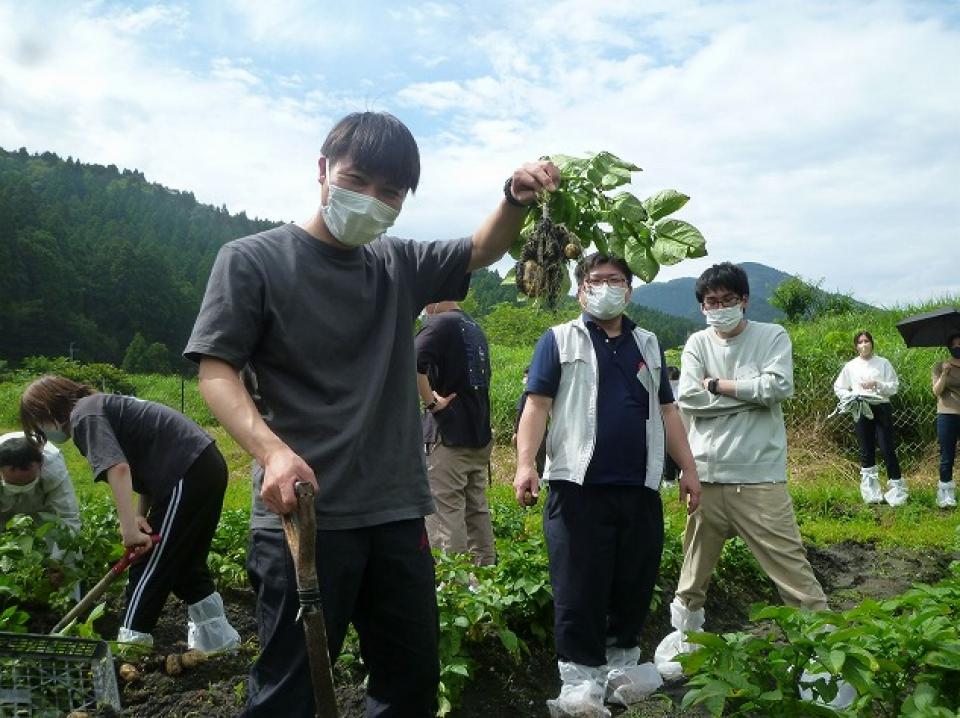 新任職員フォロー研修でいも掘り体験（湖西施設）