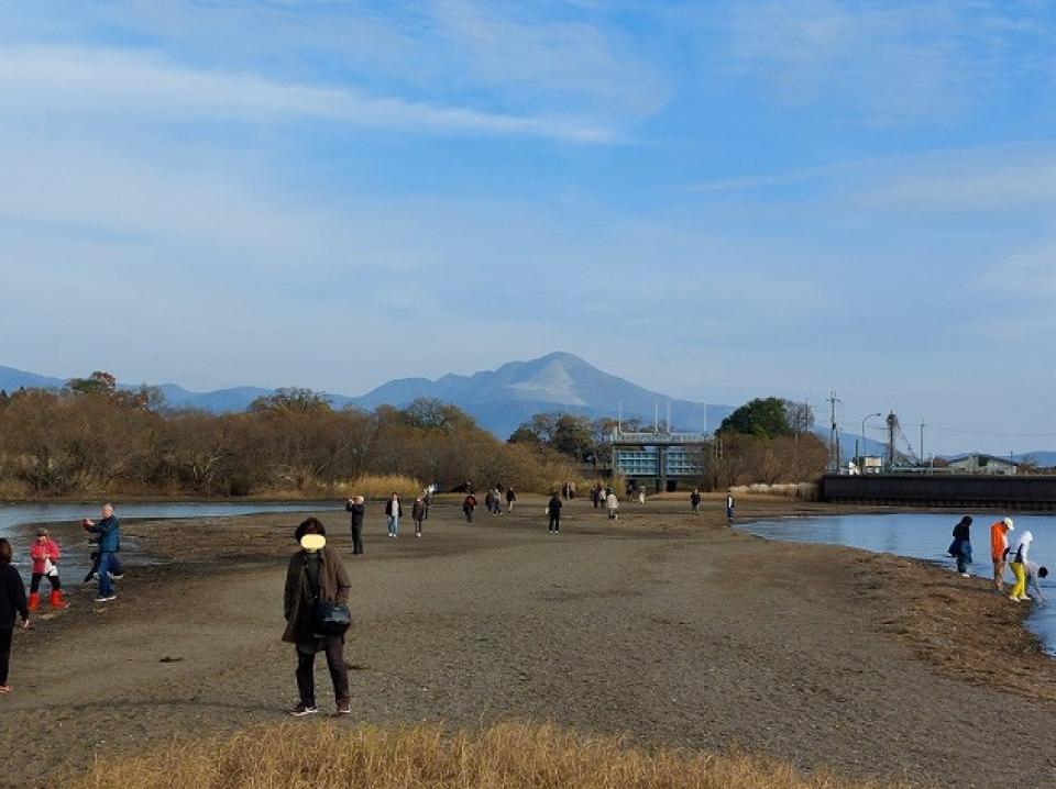 びわ湖の渇水70㎝　～白鳥のお尻～