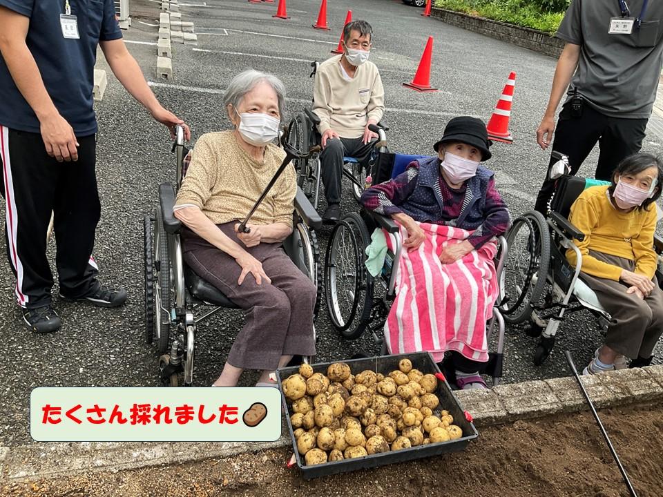 じゃがいも堀り（ジュネス）
