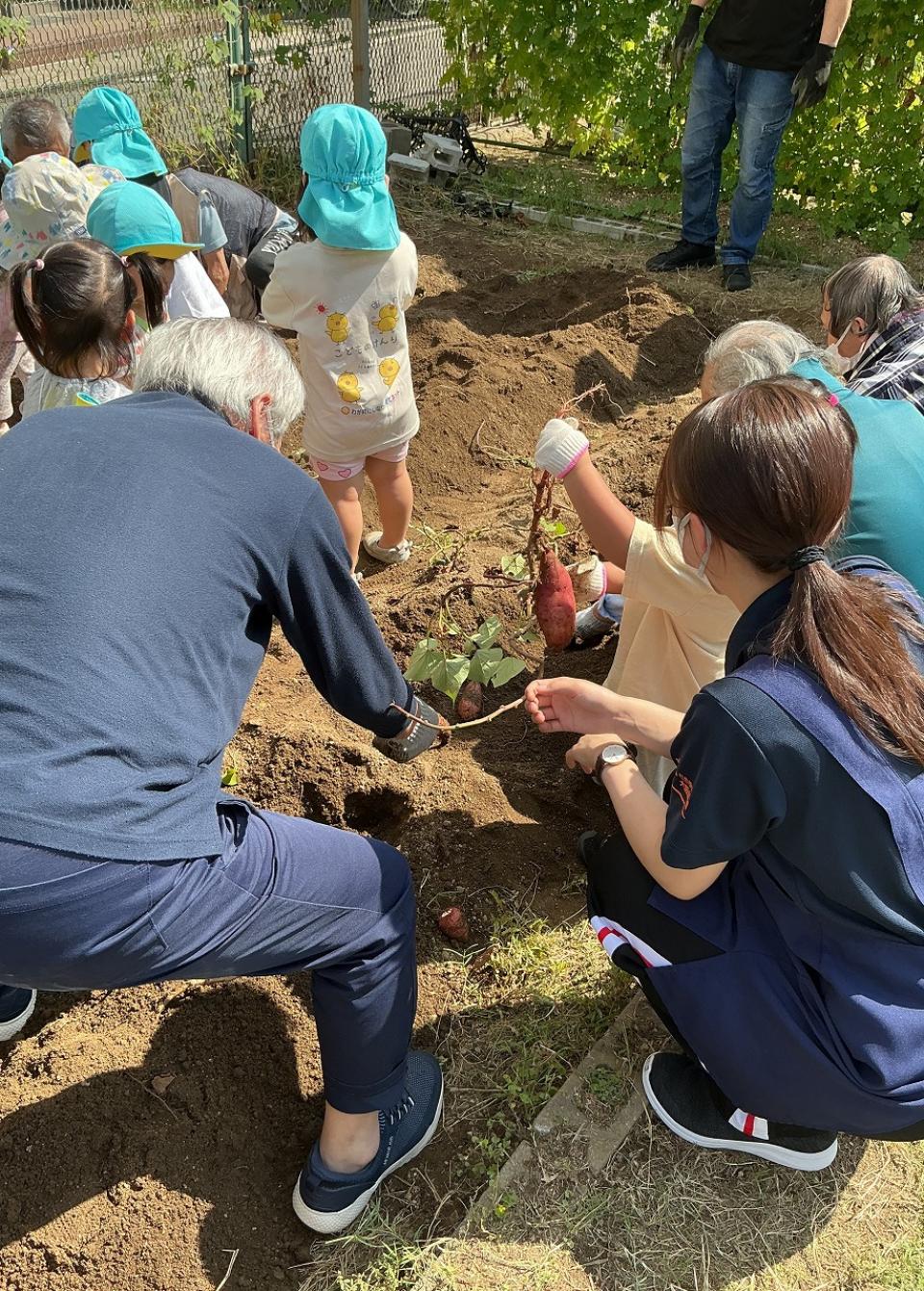 秋の味覚！芋掘りを行いました（JIKYO）