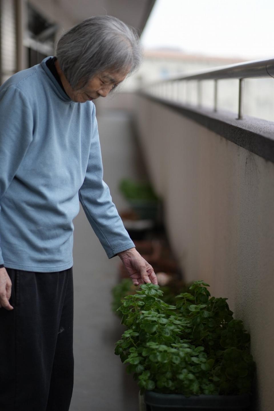 ～特養ジュネスの日常～
