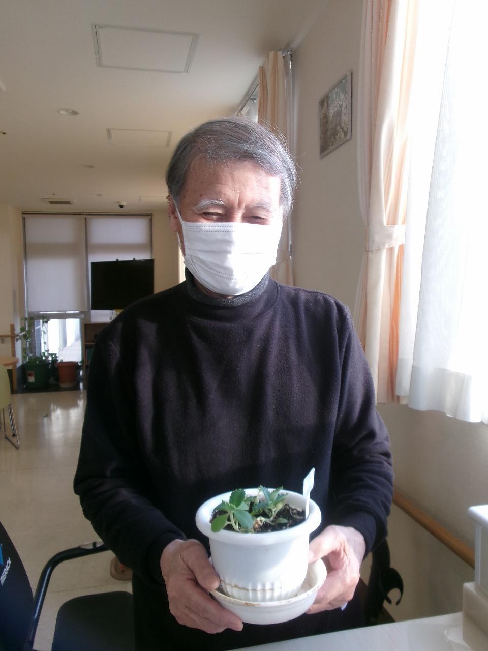 植物も日々成長しています！(ひきふね)