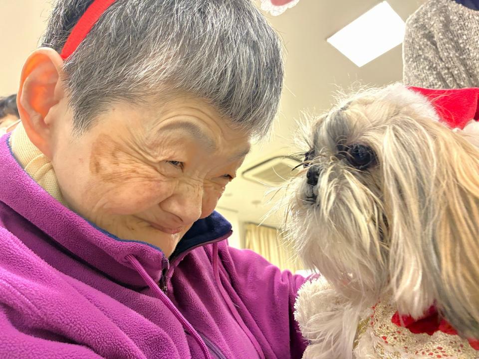 いまみや　（ドッグセラピー）