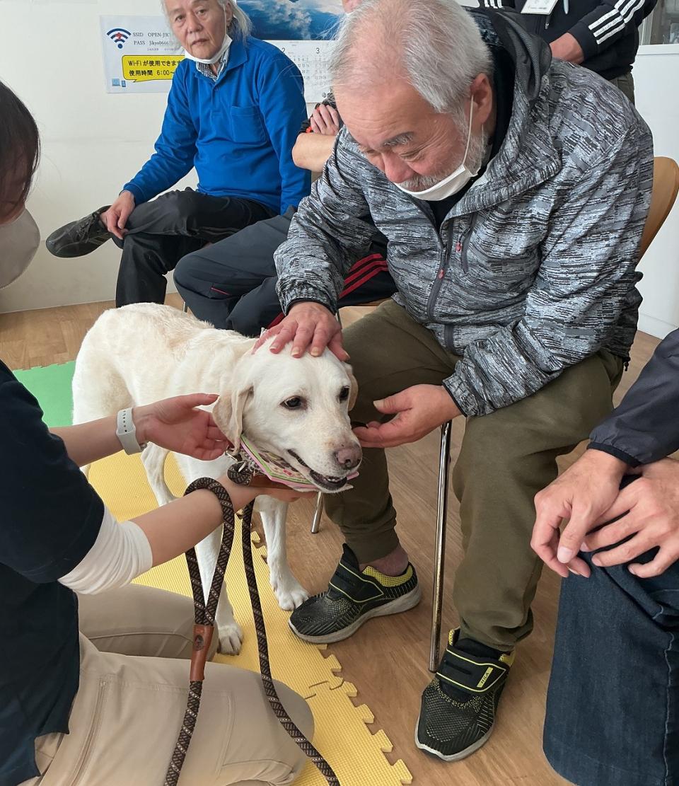 年間行事 セラピードッグ(JIKYO)